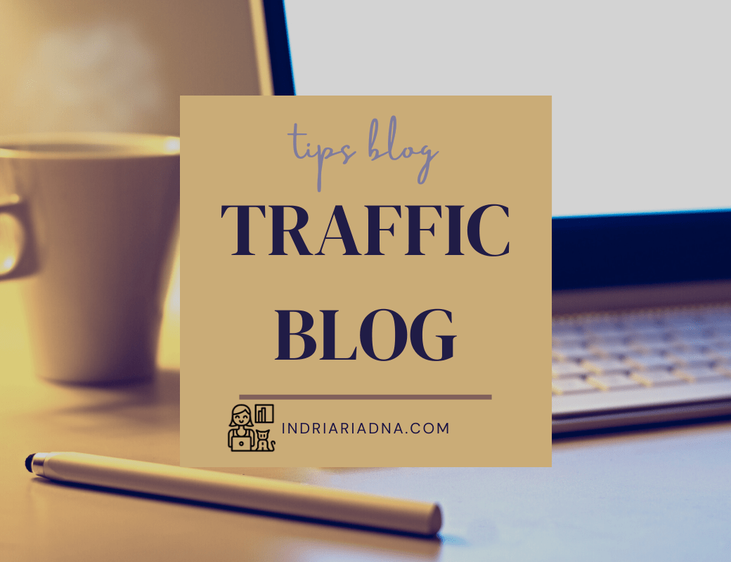 traffic blog